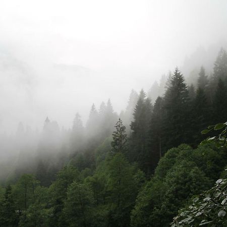 Ayder Imamoglu Apart Otel Buitenkant foto